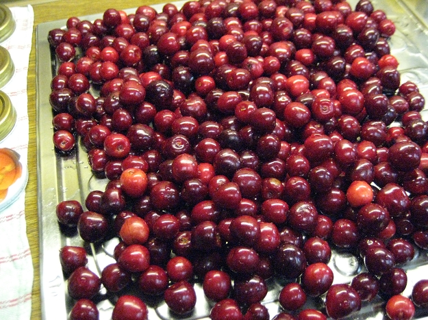 Kirschen
