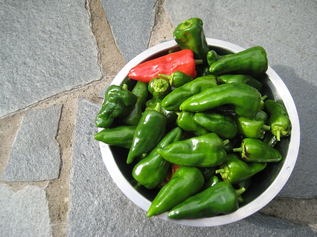 Pimentos