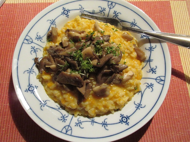 Kürbisrisotto