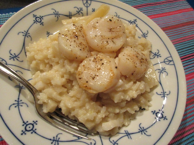Schwarzwurzelrisotto mit Jakobsmuscheln