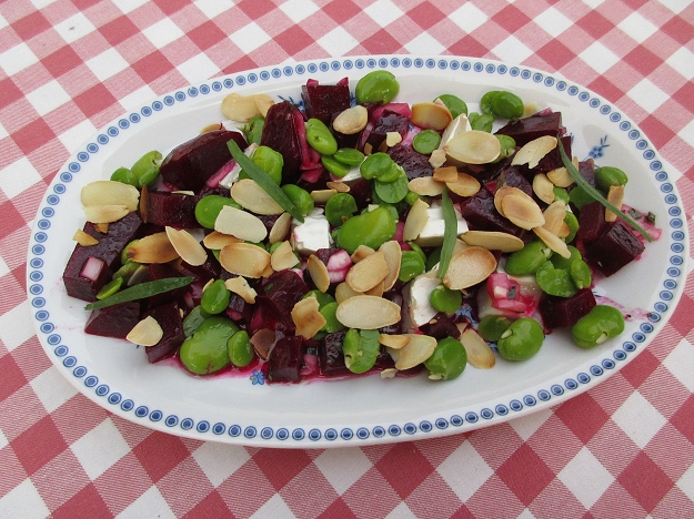 Saubohnen
