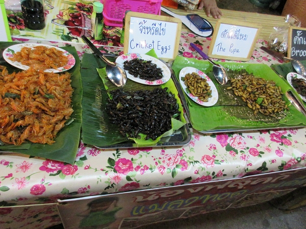 Insekten