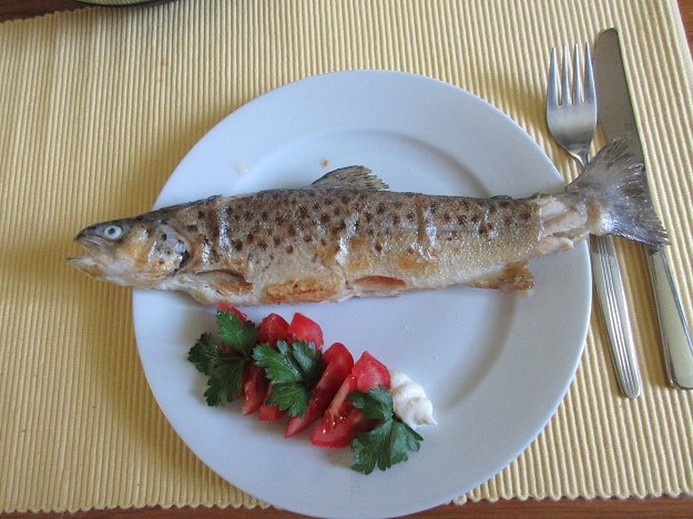 Kärntner Laxn