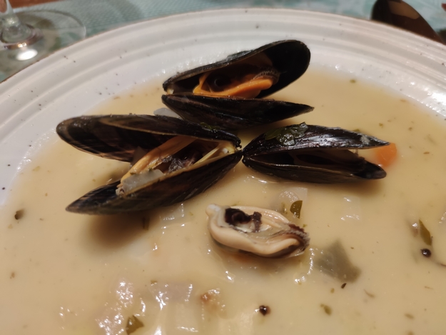 Muscheln