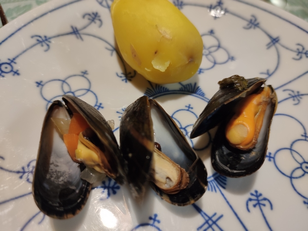 Muscheln